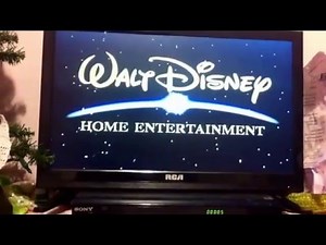 Opening to holes 2003 DVD