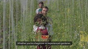 Greenhouse Gardening Tips For Year-Round Plants