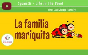 Spanish Instructional Video ~ The Ladybug Family
