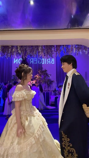 agent red and agent black go undercover as the princess and her knight