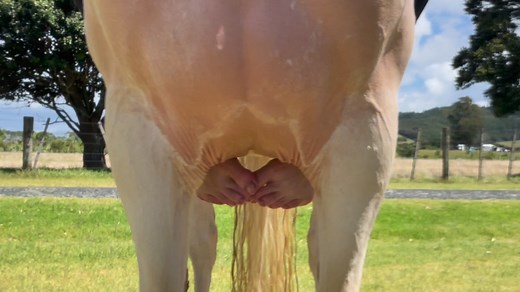 14K views · 216 reactions | Ohhhhh Craig 藍 | Brookby Heights International | Facebook