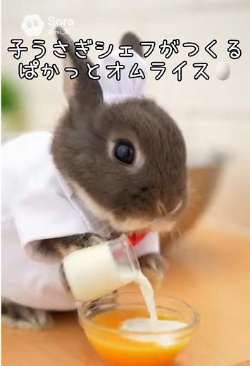 子うさぎシェフがつくるぱかっとひらくとろとろオムライス🍽️ おいしくできました😋 次は何を作ろうかな？ コメントで教えてね🐰 #うさぎ #rabbit #オムライス #ASMR #AI生成