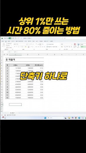 상위 1%만 아는 일 하는 시간 80% 줄이는 셀서식 단축키