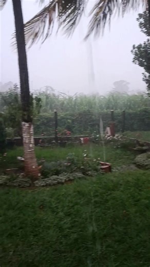 Chuva Cai no Município de Sidrolândia, MS, Brasil. Neste Instante 🌧️⛈️🌧️ Muita chuva e segue no Sentido Campo Grande (Norte). Créditos dos vídeos: Geovane Santos - Geógrafo e Irene Ferreira | Geovane Santos - Geógrafo