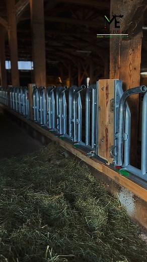 👉Rénovation complète des cornadis dans un bâtiment d’élevage ✅ Plus de confort pour les animaux, plus de sécurité pour les éleveurs, pour une meilleure efficacité au quotidien ! Des solutions pro pour vos bâtiments d’élevage. 📲 Jérôme au 0679775945 #bovins #renovation #agricole | Maîtrise Elevage