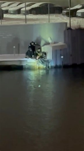 Over the weekend, a person fell into the water near the Salt Shed. First responders nearby quickly responded and were able to pull the individual from the water as they struggled, preventing a more serious outcome. | Chicago Critter Media