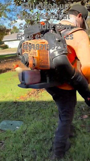 Fall clean up Leaf removal Landscape Schedule now Free estimates#9182199293 #CowetaOK #sandsprings #jenks #owasso #tulsa #Bixby #junkremoval #landscape #treeremoval #brokenarrow #juan’s Lawn Care #9182199293 | Juan'Lawn Care Tulsa