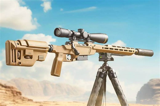 First Look: Springfield Armory's New Model 2020 Heatseeker - Firearms News