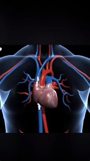 Your genes literally decide how much blood your heart pumps per beat 💉🫀 Genetics play a huge role in stroke volume—some people are built for elite endurance! Train hard, but know your DNA sets the foundation. #Genetics #fyp #cardio #fitness #breakthrough