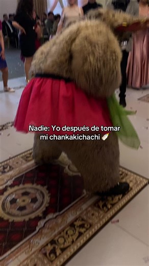 Discovering Chankakichachi in Puno: A Fun Experience