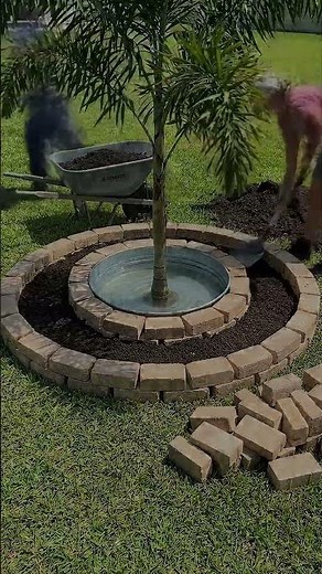 Satisfying Garden Build: Transforming a Yard into a Zen Pond 🌿✨