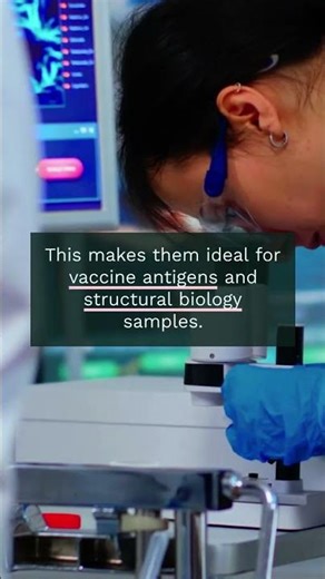 Insect Cell Expression in 60s | Baculovirus System