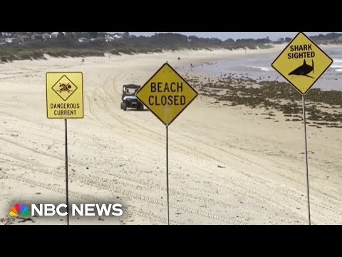 Dozens of Australian beaches close after four shark attacks in less than 48 hours
