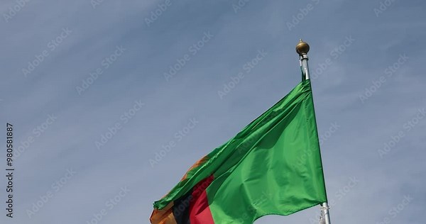 Zambia flag video for advertising, celebration, achievements, festivals, elections. Zambia flag fluttering in the beautiful sky. patriot and travel concept. Great for news.