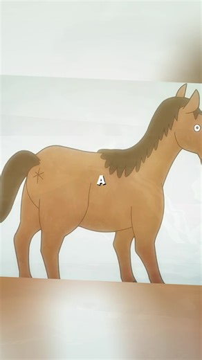 Explore the Fun World of Cartoon Recaps