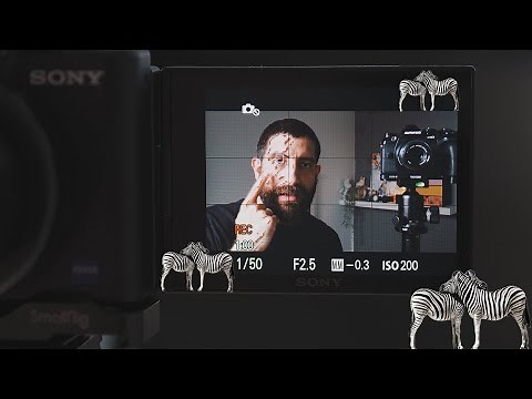 Sony ZV-1: how to use ZEBRAS to expose your videos