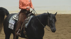 Equestrians with disabilities shine at Quarter Horse Congress