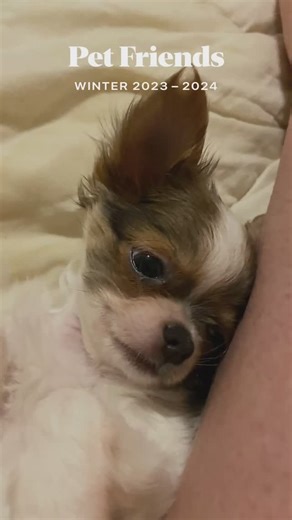 Jackie Warner on Reels