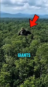 Top 3 Biggest Creatures Ever Found ‼️😱 #ocean #wildlife