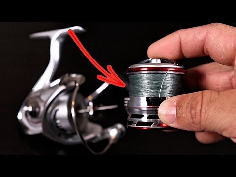 How Often Should You Change Out Your Fishing Line?