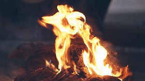 Bonfire Burning Trees At Night Bonfire Stock Footage SBV-338899274 - Storyblocks