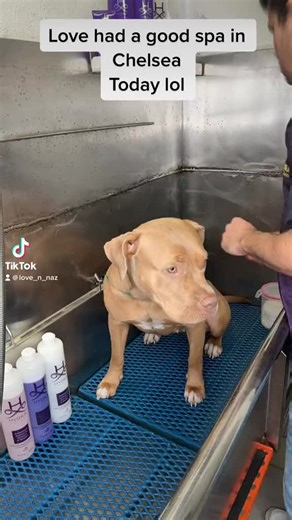 Loveandsmiley (@loveandnazofficial)’s videos with original sound - Loveandsmiley