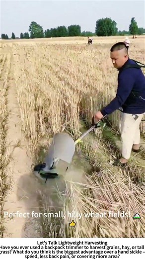 Harvesting Wheat with a Backpack Brush Cutter – Small Field Solution 🌾🎒