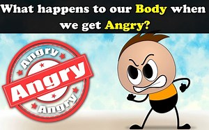 What happens to our Body when we get Angry | # It's AumSum Time #