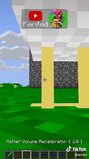 Ferited ve Tarık: Minecraft Troll Macerası
