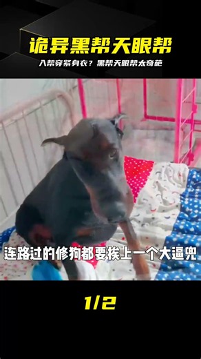 最奇葩的黑幫天眼幫：入幫要穿緊身衣豆豆鞋，眉心必須紋“天眼” #黑帮，天眼帮，奇葩，紧身衣，纹身