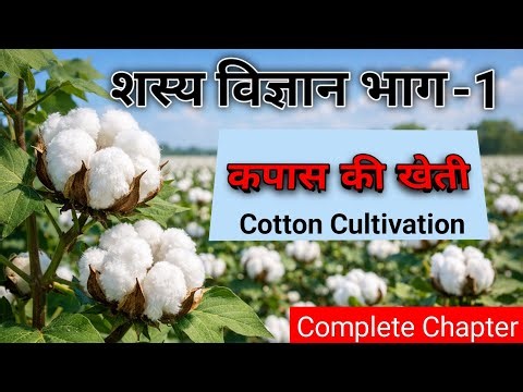 कपास की खेती | Cotton Cultivation in Hindi | sasya vigyan class 11 | AIMERS IQ