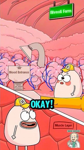 Is Breast Milk REALLY Made From Blood?! #breastfeeding #animation