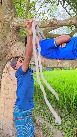 223K views · 1.1K reactions | Sleeping on a tree branch | Village Fun 13 | Facebook