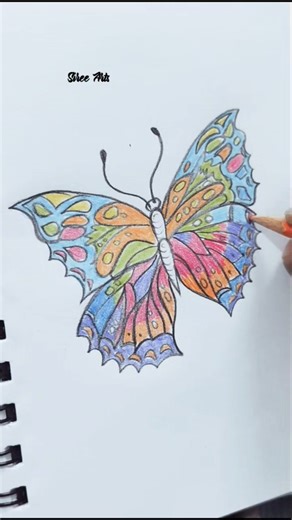 🦋 How to Draw & Color a Butterfly Step by Step | Beginner Friendly