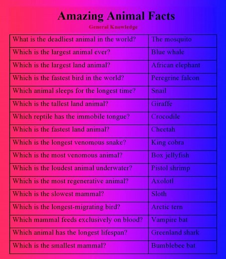 Amazing Animal Facts - General Knowledge #animals #animal #viral #facts #history #mosquito #bluewhale #elephant #Falcons #snails #giraffe #crocodile #cheetah #kingcobra #jellyfish #generalknowledge #facebookpostシ #gk #book #shortstory #gk #Studentsknowledge #upsc #ias #css2026 #PPSC #SPSC_Screening_test #KPPSC #BPSC #AJKPSC | One Paper Preparation