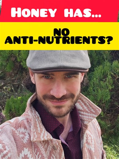 Is Honey Carnivore-Friendly? The Truth About Fructose