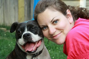 Puppy Training Videos