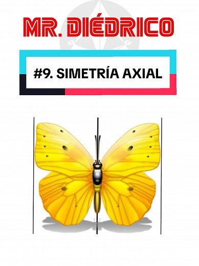 Simetría Axial: Transformaciones en la Naturaleza
