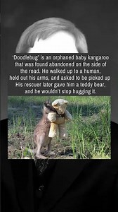 This Meme Has Everyone Questioning Reality 💀🤔