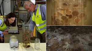 Scientists have grown a clean, green superbug that eats sewage