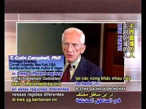 T Colin Campbell - The China Study - Part 1