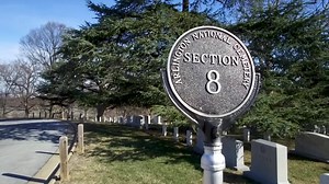 12K views · 395 reactions | #WatchNow: One of Arlington's Dwarf...