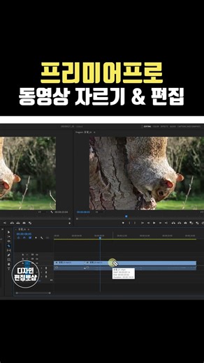 프리미어프로 강좌 - 동영상 자르기 & 영상편집 & 컷편집
