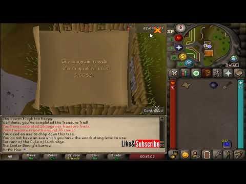 Beginner Clue - I CORD