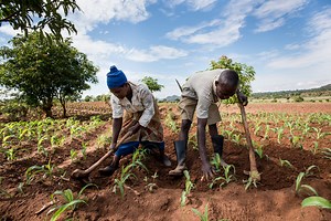 One Acre Fund Re: Safeguarding smallholder farmers in the face of climate impacts