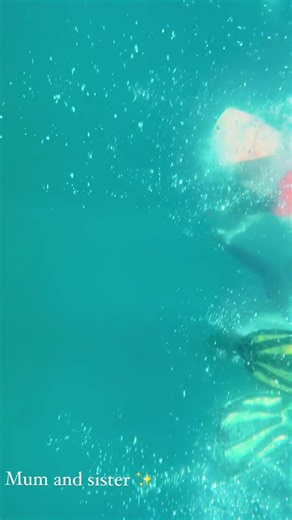 The best way to celebrate life is by treating yourself to a day out in paradise ️ / @coralie.things showing us how it's done  | Frankland Islands | Facebook