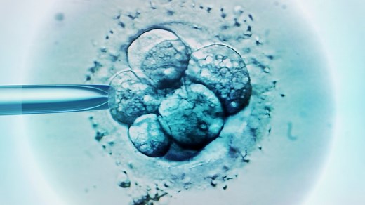 Why scientists want longstanding '14-day rule' for human embryo research changed