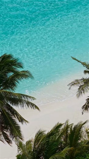 Life in the tropics moves at its own gentle pace. Surrounded by tropical beauty, we feel it in the swaying palms, the turquoise lagoons, the island air, and every experience here at Hideaway. #myHideaway #HideawayBeachResort #InternationalDayOfTheTropics