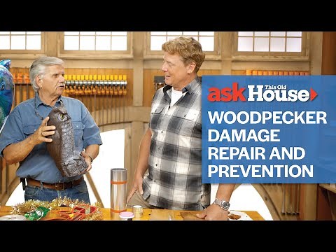 How to Repair Woodpecker Holes in Cedar Siding