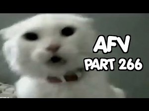 ☺ AFV Part 266 - (Funny Clips Fail Montage Compilation) | OrangeCabinet